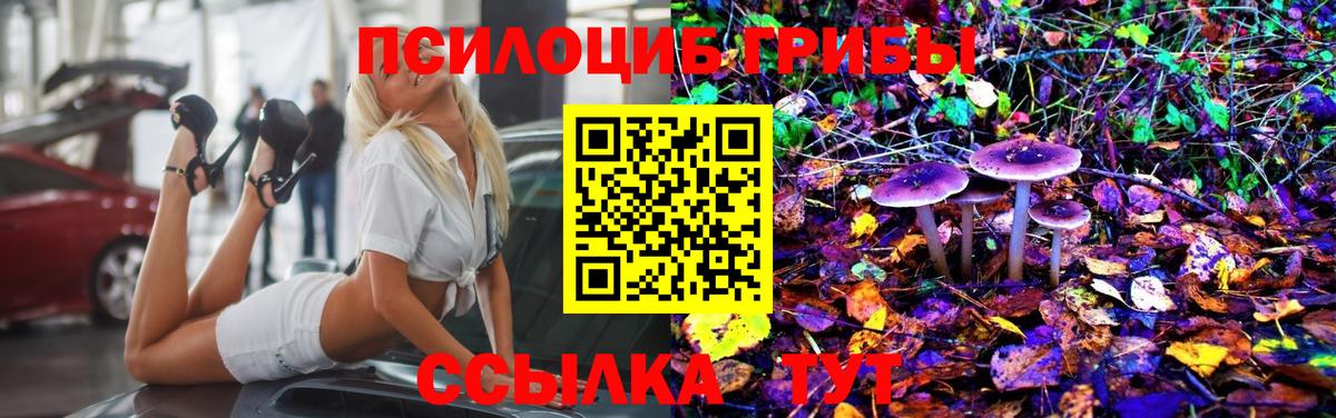 Северобайкальск  Псилоцибиновые грибы Psilocybine cubensis  Вход с VPN 